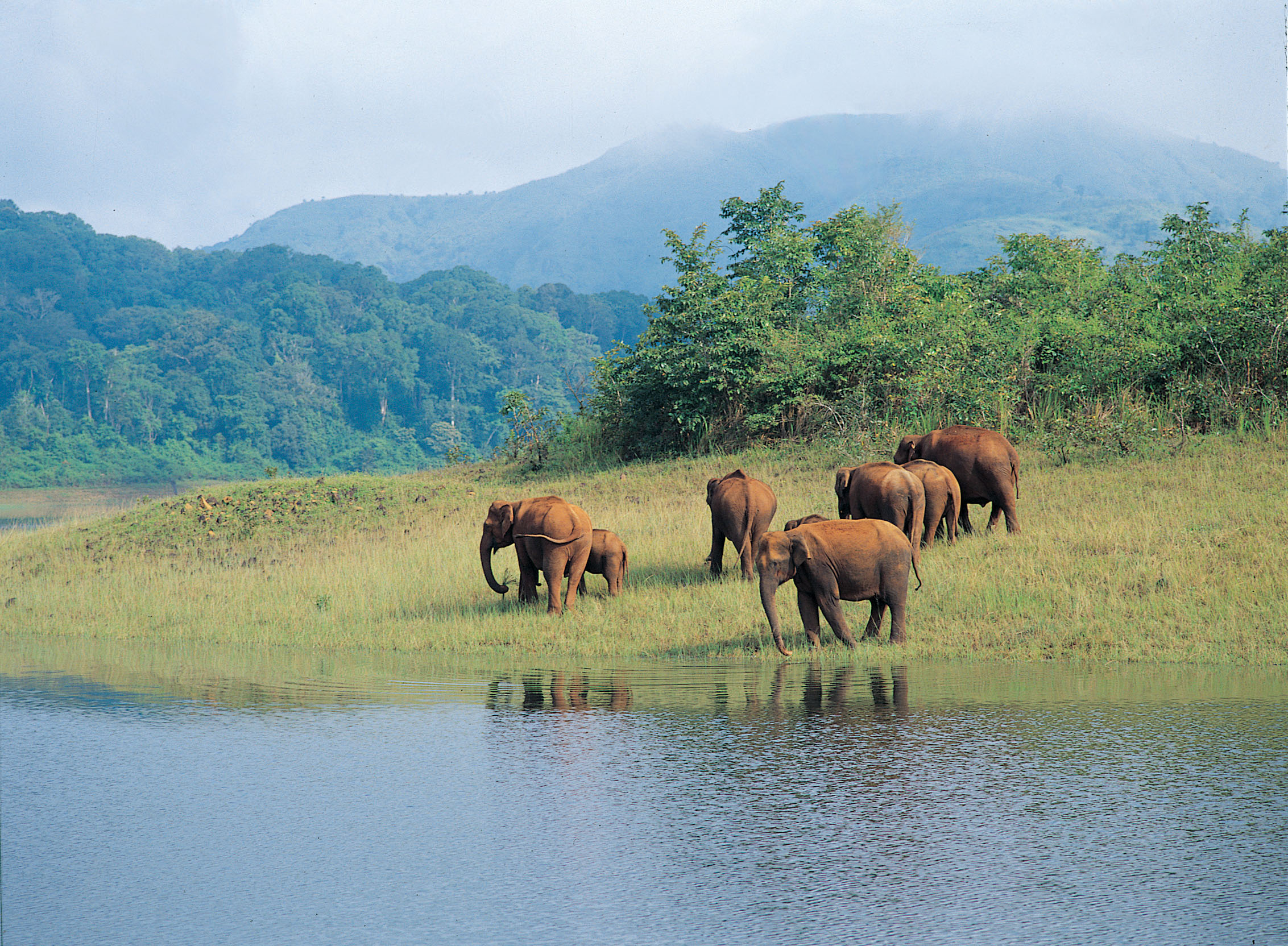 Trip to Kerala